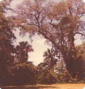 Camp Villa Marie 076